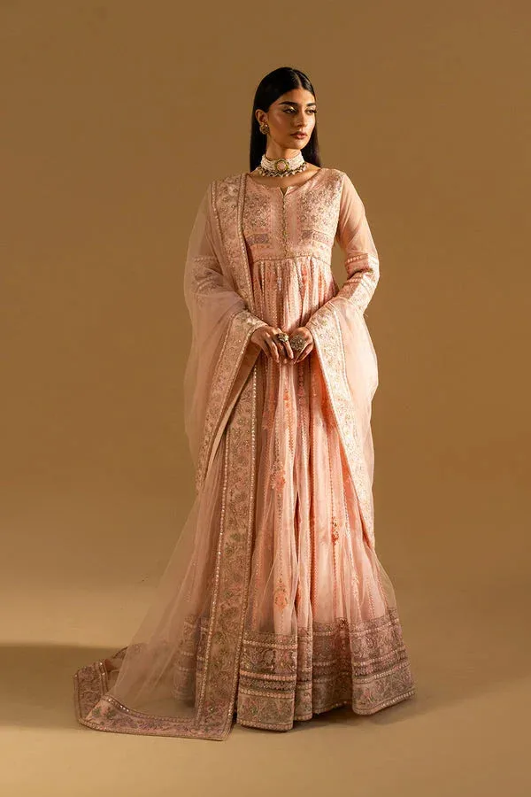 Maryum N Maria Mysha Wedding Formals Nude Peach Organza – view 1 – Poshaq