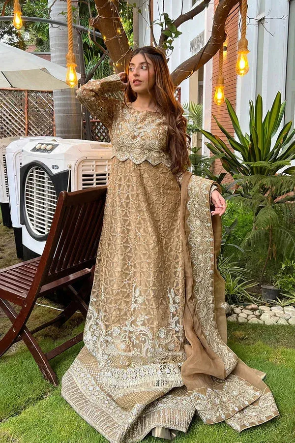 Maryum N Maria Amani Formals Mustard Brown Organza – view 1 – Poshaq