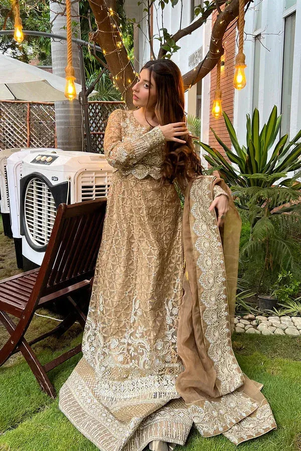 Maryum N Maria Amani Formals Mustard Brown Organza – view 2 – Poshaq