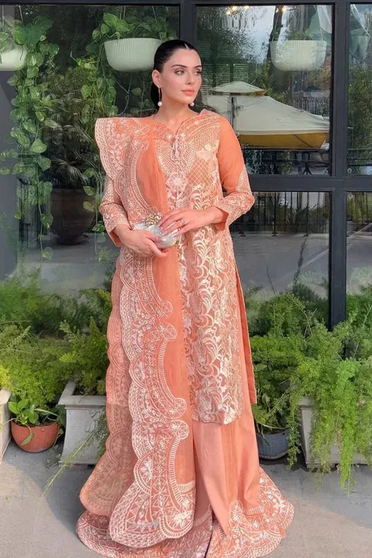Maryum N Maria Amani Formals Pale Peach Organza – view 1 – Poshaq