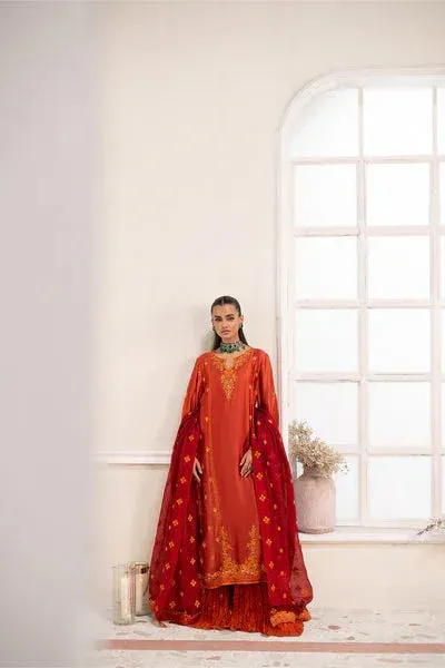 Maryum N Maria Lumora Edit rust orange Organza – view 1 – Poshaq