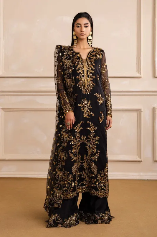 Maryum N Maria Izara Formals Black Organza – view 1 – Poshaq