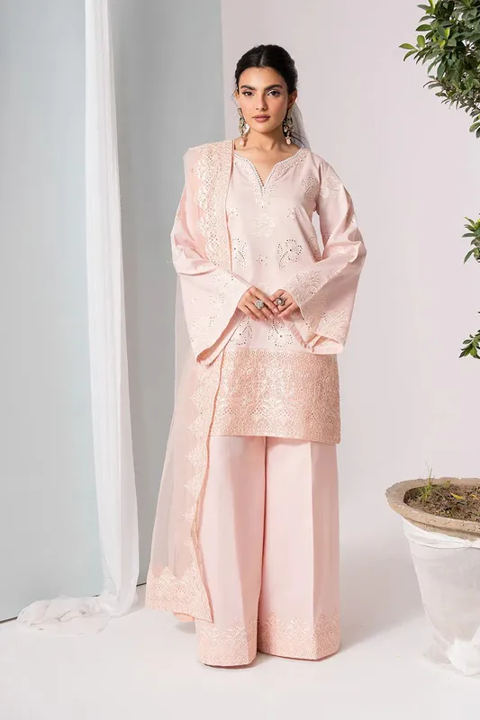 Maryum N Maria Zuhur 25 Light Pink Organza – view 1 – Poshaq