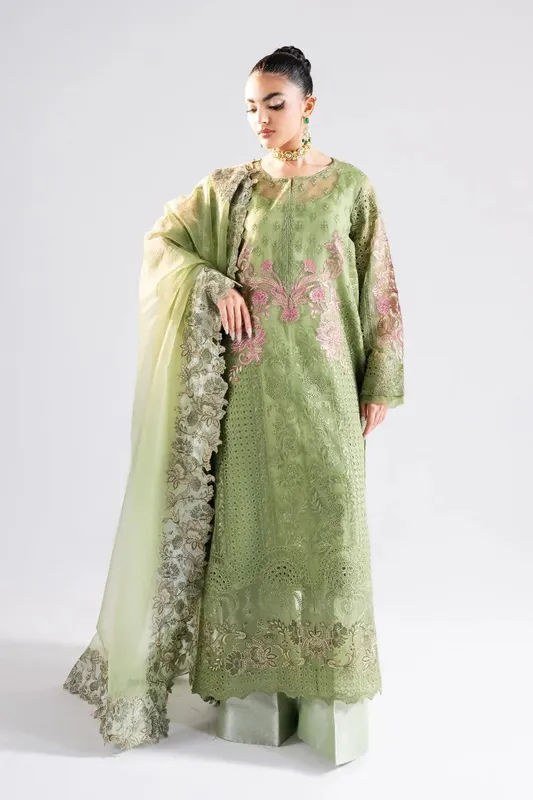 Maryum N Maria Luna Formals Tea Green Organza – view 1 – Poshaq
