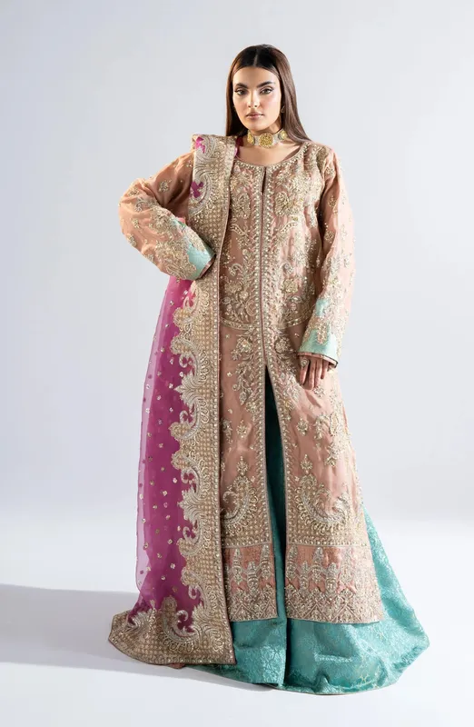 Maryum N Maria Riwayat Wedding Formals Pinkish Gray Organza – view 1 – Poshaq