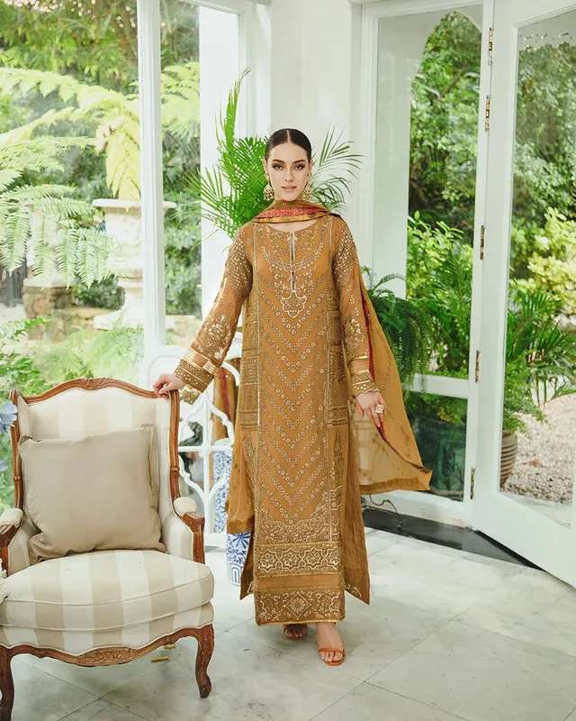Maryum N Maria Freesia Ariya Formals Organza – view 1 – Poshaq