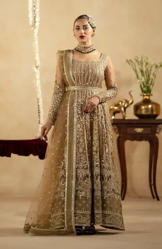 Maryum N Maria Zamani Beghum Formals 23 Beige Organza – view 1 – Poshaq