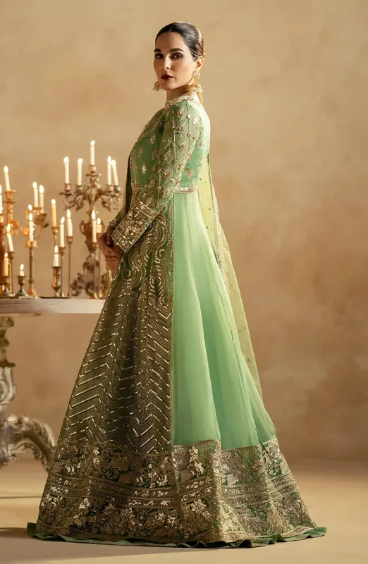 Maryum N Maria Zamani Beghum Formals 23 Green Organza – view 1 – Poshaq