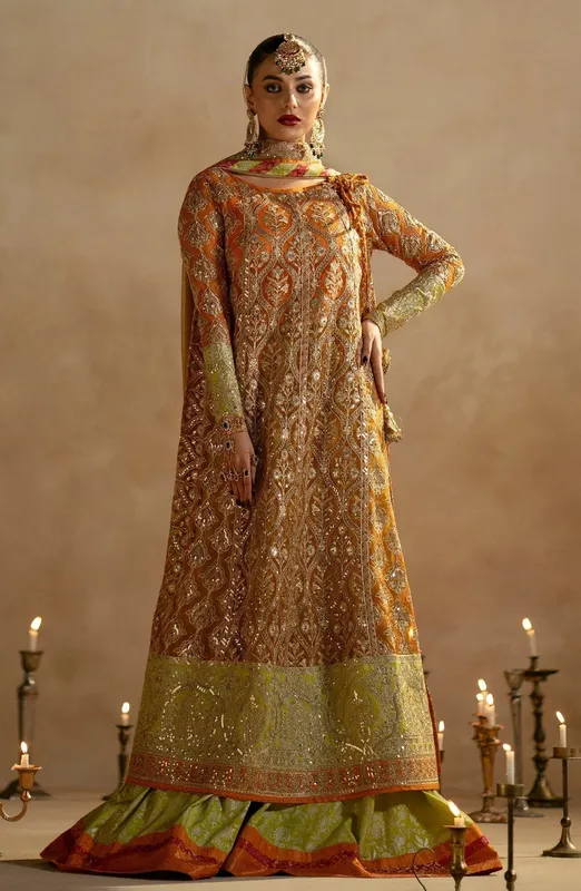 Maryum N Maria Zamani Beghum Formals 23 Orange Organza – view 1 – Poshaq