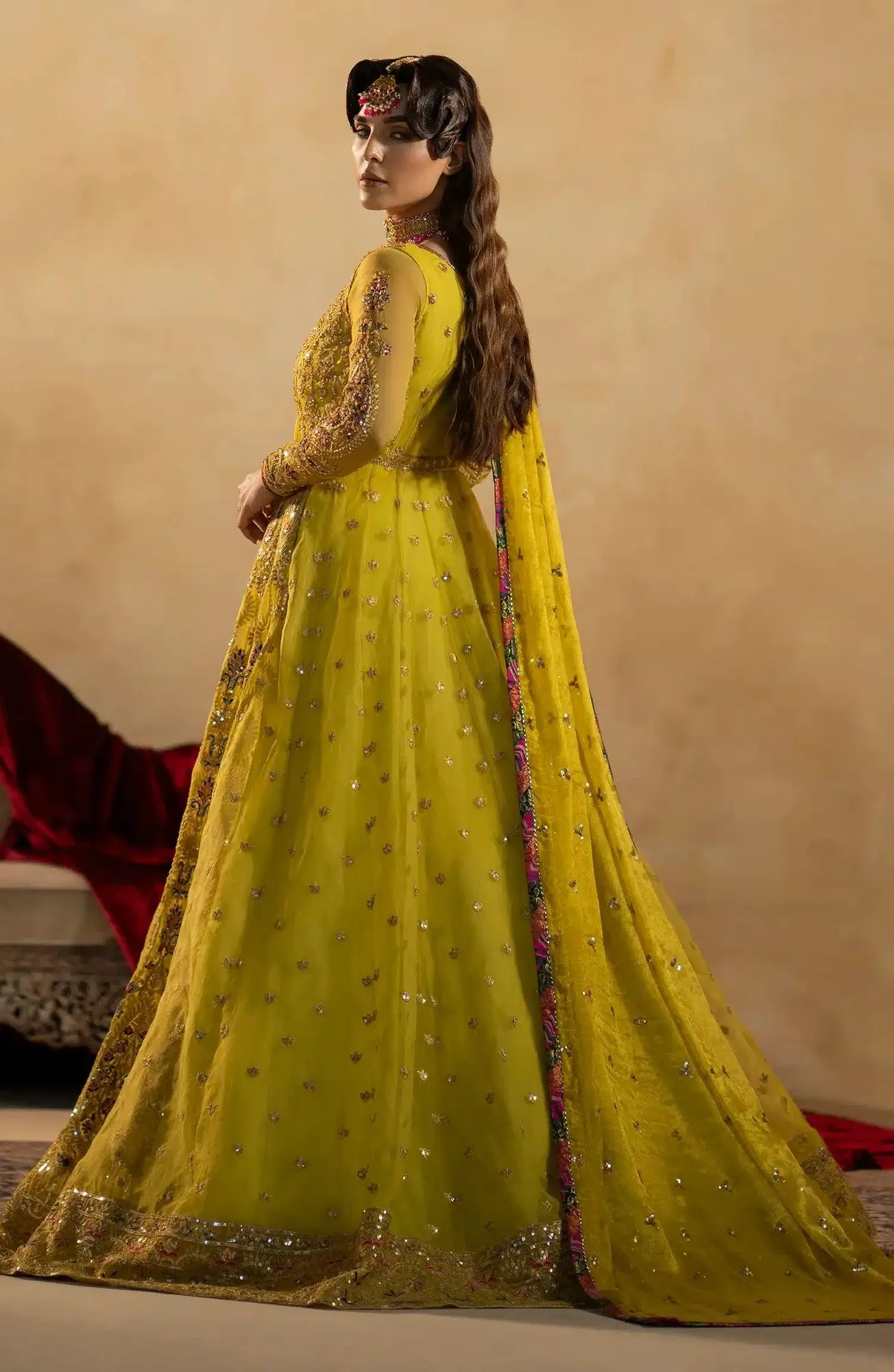 Maryum N Maria Zamani Beghum Formals 23 Mustard Organza – view 2 – Poshaq