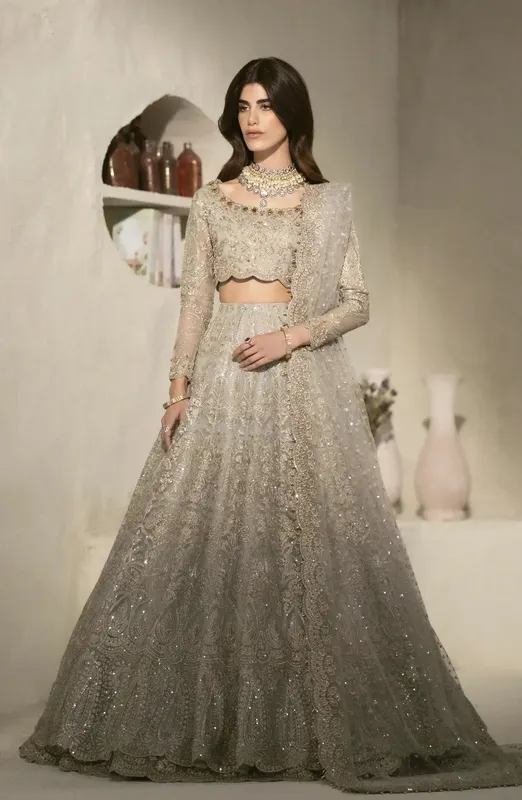 Maryum N Maria Mehr o Maah Bridals Grey Organza – view 1 – Poshaq