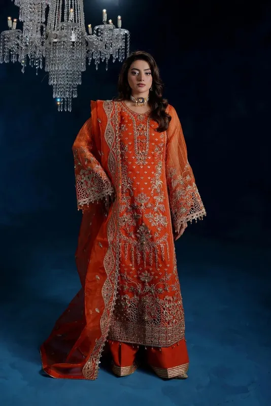 Maryams Tabeer Luxury Collection Rust Organza – view 1 – Poshaq