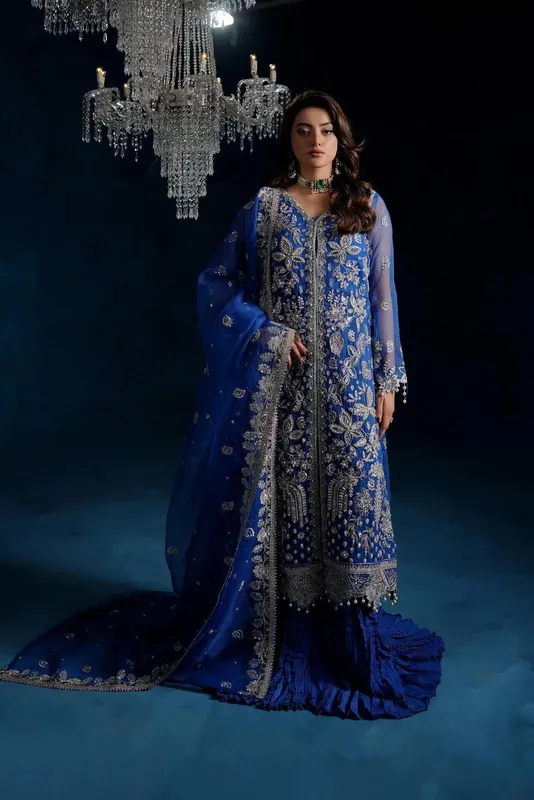 Maryams Tabeer Luxury Collection Blue Organza – view 1 – Poshaq