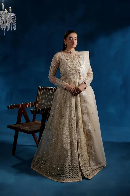 Maryams Tabeer Luxury Collection Ivory Organza – view 1 – Poshaq