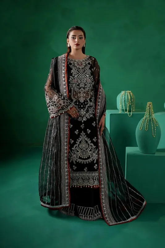 Maryams Tabeer Luxury Collection Black Organza – view 1 – Poshaq