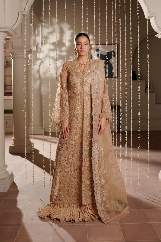 Maryams Zeenat Luxury Formals Brown Organza – view 1 – Poshaq