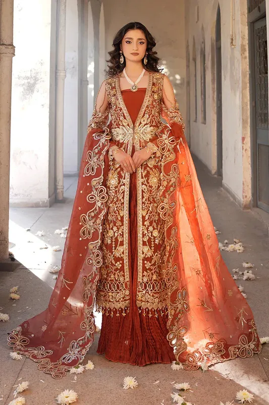 Maryams Zeenat Luxury Formals Rust Organza – view 1 – Poshaq