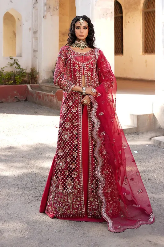 Maryams Zeenat Luxury Formals Carmine Organza – view 1 – Poshaq