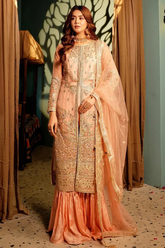 Maryams Reet Formals Peach Organza – view 1 – Poshaq