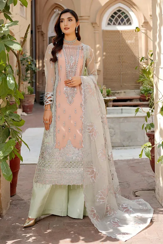 Maryams Lemilsa Collection Peach Organza – view 1 – Poshaq