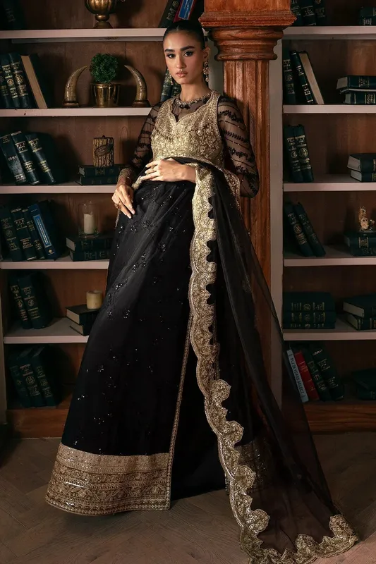 Mina Kashif Emilie Formals Black Silk – view 1 – Poshaq