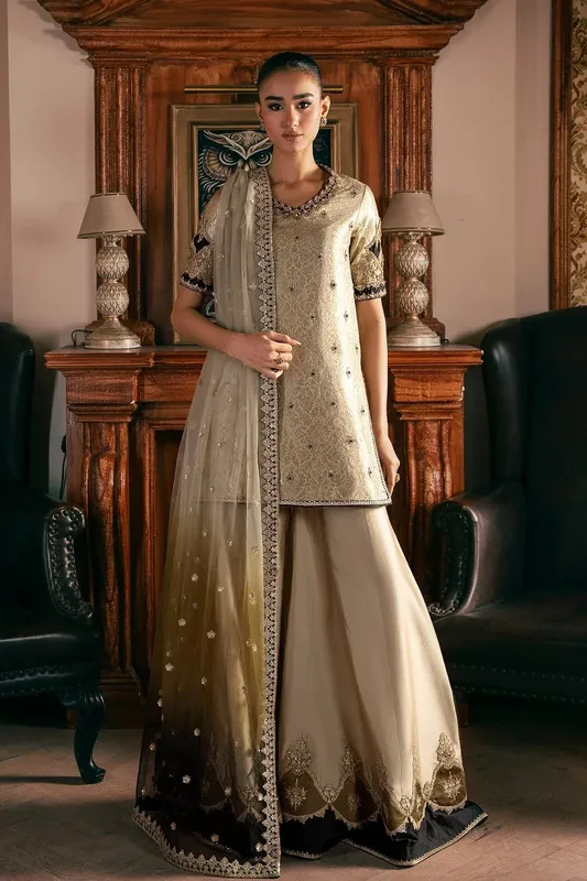Mina Kashif Emilie Formals Beige Net – view 1 – Poshaq