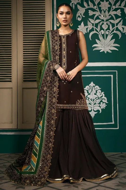 Mina Kashif Meeral Formals 24 Chocolate Brown Raw Silk – view 1 – Poshaq