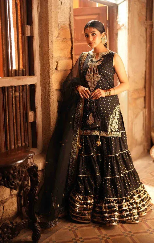 Maya Dil ki Batain Black Organza – view 1 – Poshaq