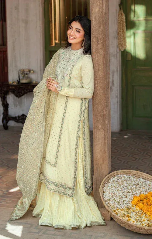Maya Dil ki Batain Pistachio Green Organza – view 1 – Poshaq