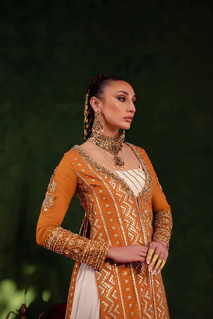 Maria Osama Khan Salma Sitara Orange Organza – view 3 – Poshaq