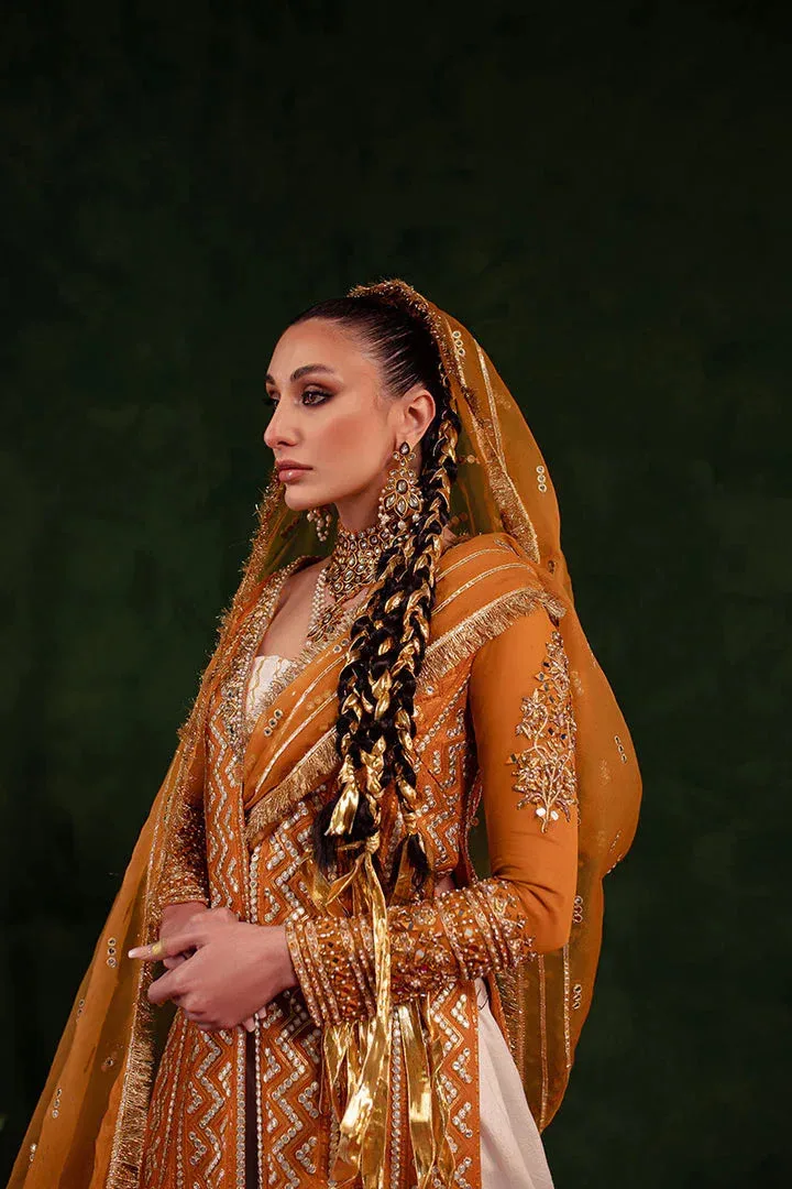 Maria Osama Khan Salma Sitara Orange Organza – view 4 – Poshaq