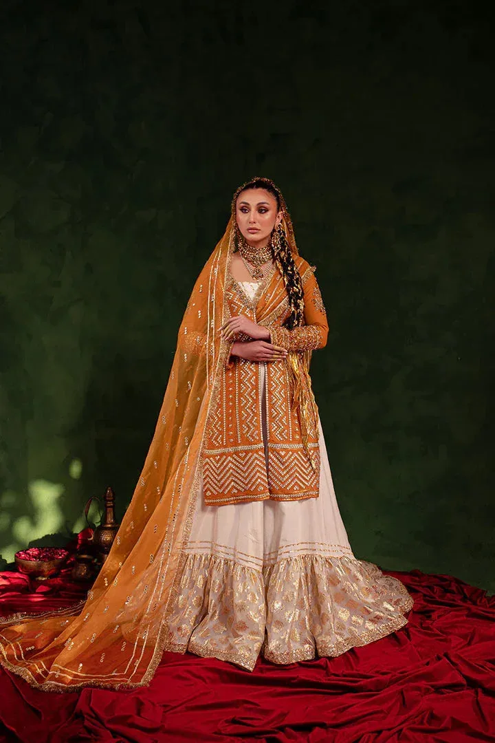 Maria Osama Khan Salma Sitara Orange Organza – view 5 – Poshaq