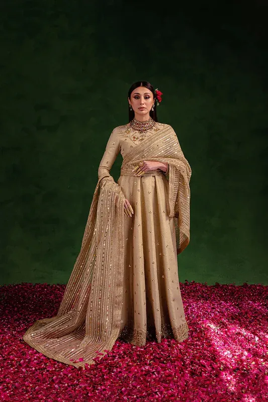 Maria Osama Khan Salma Sitara Golden Organza – view 1 – Poshaq