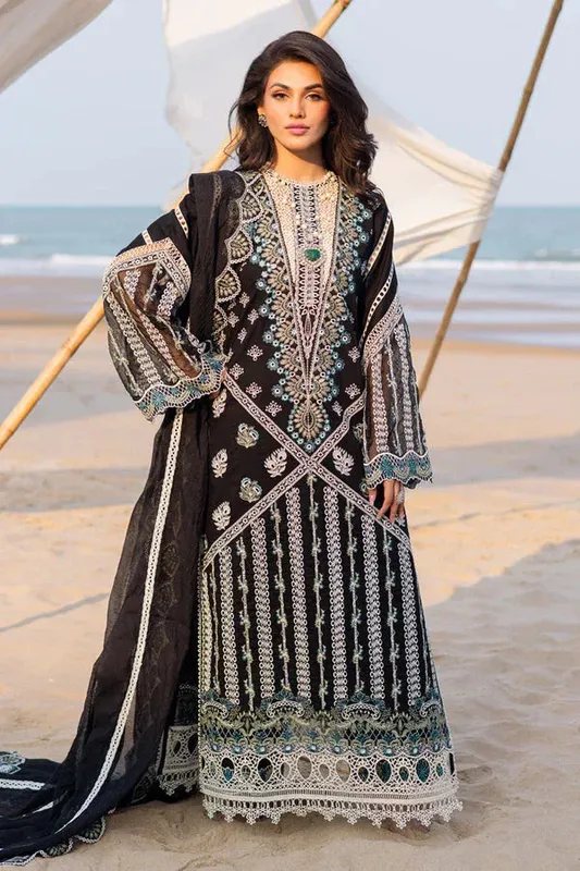 Marjjan Mavi Lawn Black Organza – view 1 – Poshaq