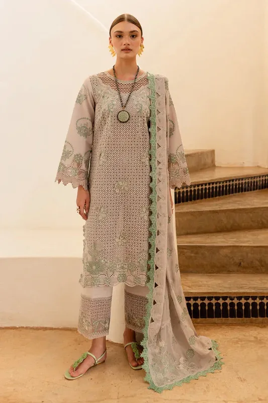 Marjjan Fasana Lawn Pastel Gray Organza – view 1 – Poshaq