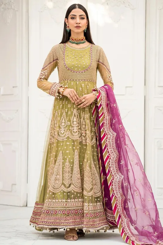 Motifz Luxury Formal green Organza – view 1 – Poshaq