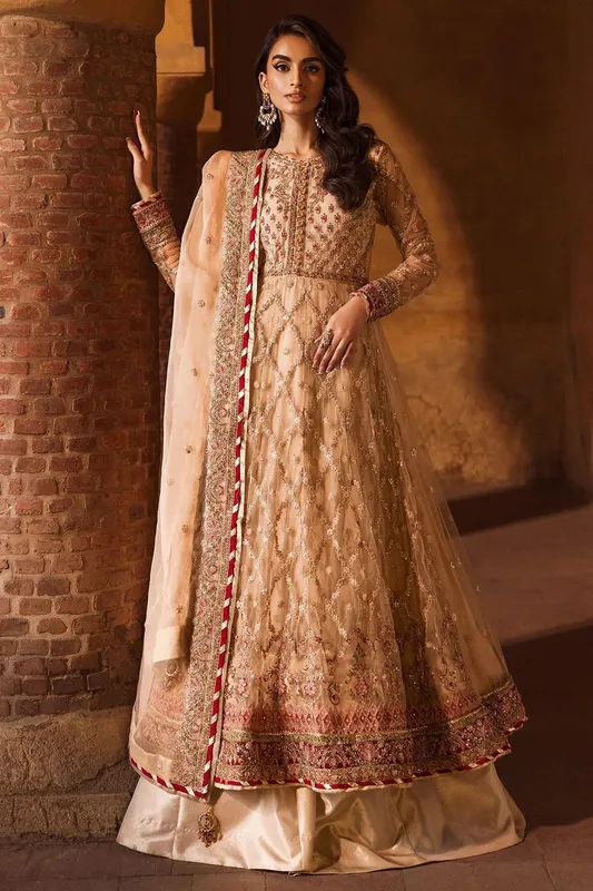 Motifz Luxury Formal peach Organza – view 1 – Poshaq