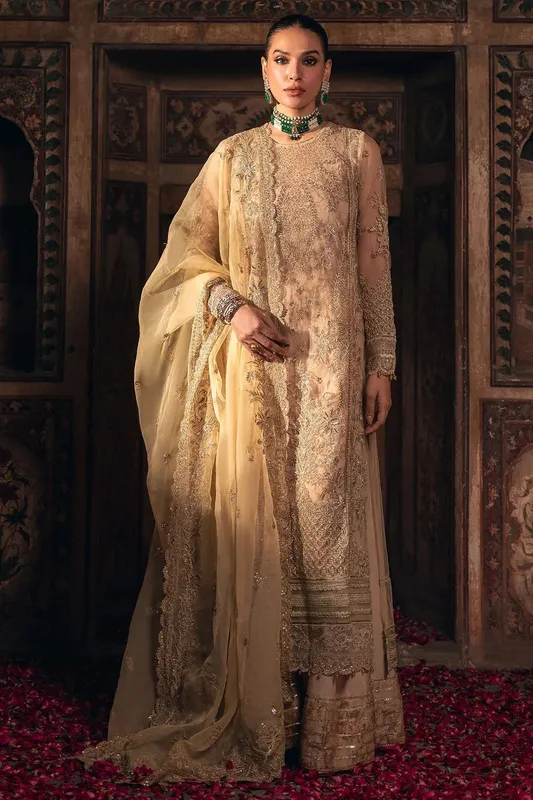 Motifz Luxury Formal Beige Organza – view 1 – Poshaq