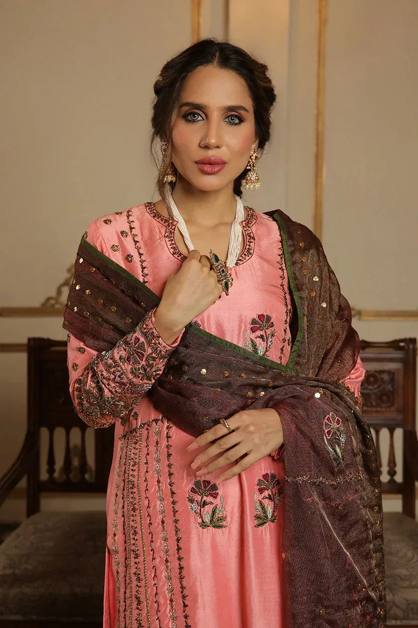Muntaha by Shanzay Fahad Baad e Saba Brown Raw Silk – view 1 – Poshaq