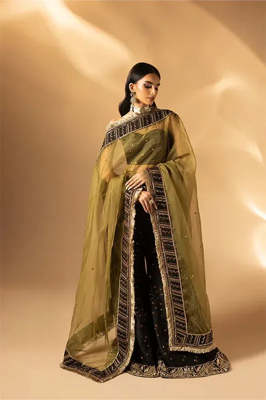 Muntaha by Shanzay Fahad Tabeer Formals Black Raw Silk – view 1 – Poshaq