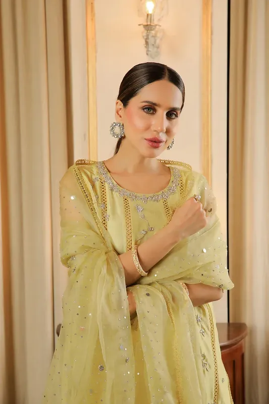 Muntaha by Shanzay Fahad Baad e Saba Raw Silk – view 1 – Poshaq