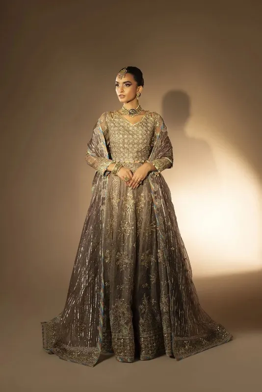 Muntaha by Shanzay Fahad Tabeer Formals Organza – view 1 – Poshaq