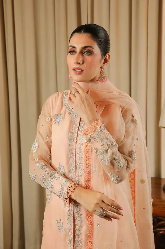 Muntaha by Shanzay Fahad Baad e Saba Peach Organza – view 1 – Poshaq