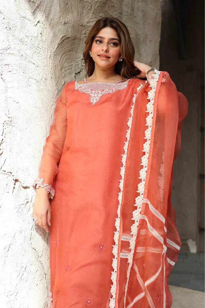 Muntaha by Shanzay Fahad Zara Semi Formals Organza – view 4 – Poshaq