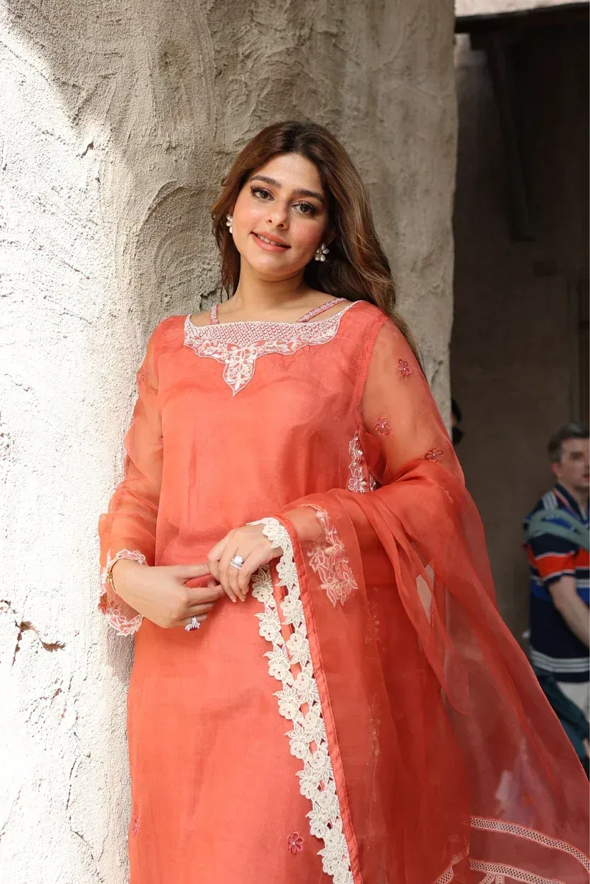 Muntaha by Shanzay Fahad Zara Semi Formals Organza – view 5 – Poshaq