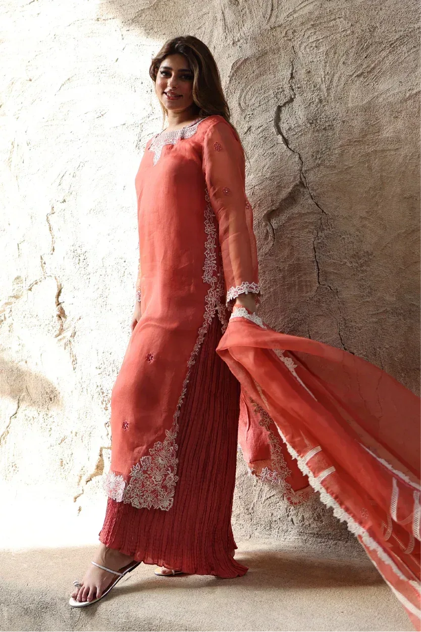 Muntaha by Shanzay Fahad Zara Semi Formals Organza – view 6 – Poshaq