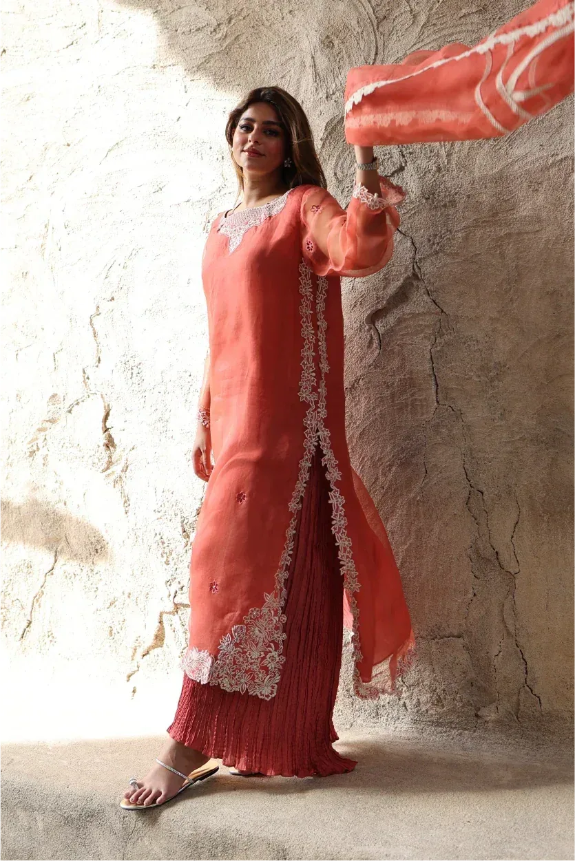 Muntaha by Shanzay Fahad Zara Semi Formals Organza – view 7 – Poshaq