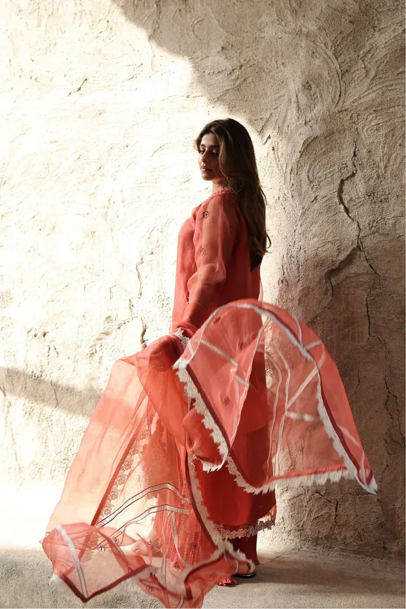 Muntaha by Shanzay Fahad Zara Semi Formals Organza – view 8 – Poshaq