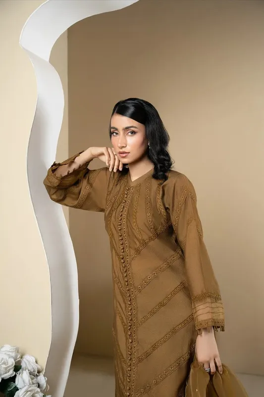 Muntaha by Shanzay Fahad Rumaisa Luxury Pret Olive Brown Organza – view 1 – Poshaq