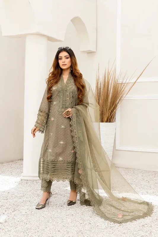 Muntaha by Shanzay Fahad Mushk Casual Pret Organza – view 1 – Poshaq